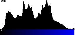 Blue Histogram