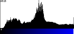 Blue Histogram