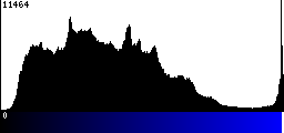 Blue Histogram