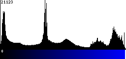 Blue Histogram