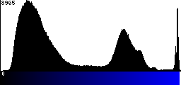 Blue Histogram