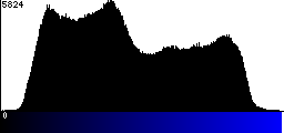 Blue Histogram