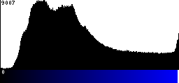 Blue Histogram