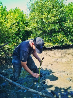 Menjaga ekosistem mangrove dengan cara sederhana