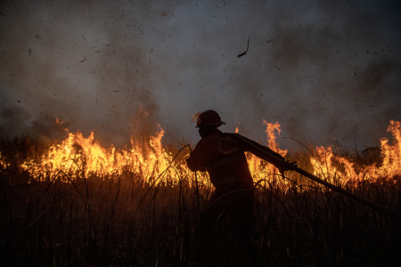 Pemadaman kebakaran lahan di Desa Rambutan