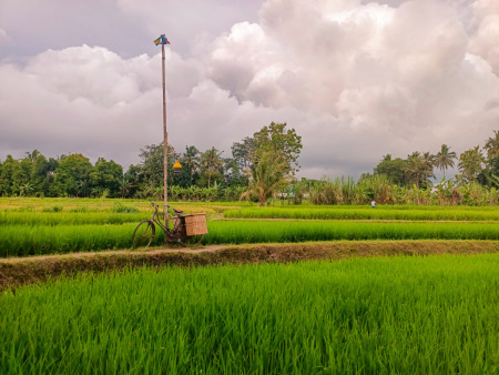 Bangkitlah Pertanian Indonesia