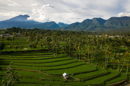 Sistem Terasering Lombok