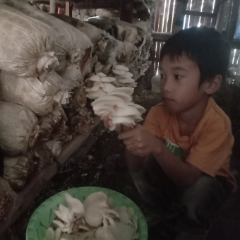 Petani cilik