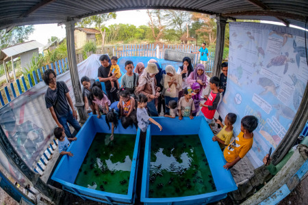 Wisata Edukatif Konservasi Penyu Pantai Goa Cemara