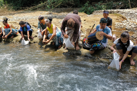 Tradisi Ngiwak Menjaga Ekosistem Sungai