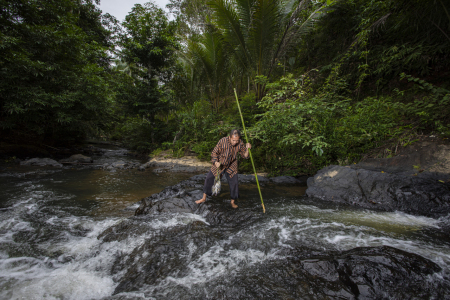 Pencari Ikan