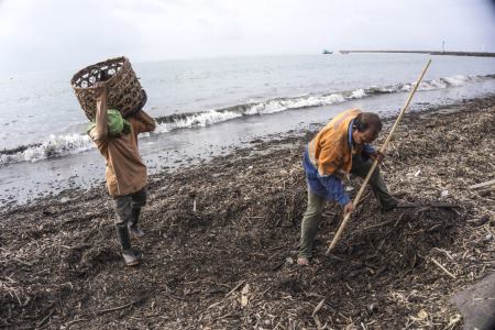 Sampah Laut