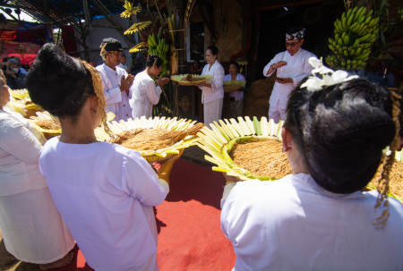 Ritual Ampih Pare pada acara adat Seren taun Kampung Pasiran Garut