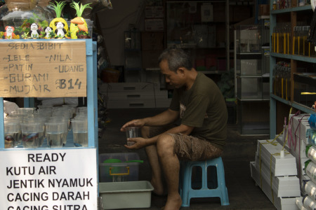 Semangat Indonesiaku 14