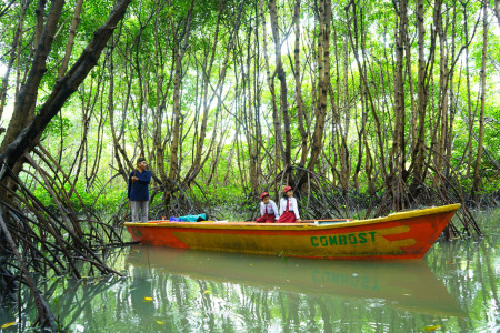 Edukasi Hutan Mangrove ke Generasi Muda