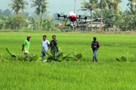 Drone Pertanian, Hasil Panen Melimpah
