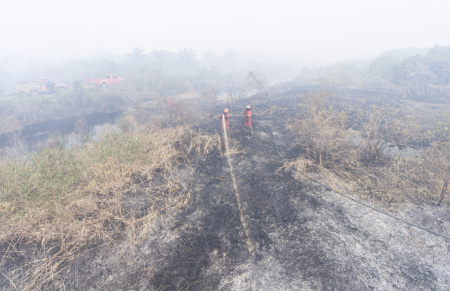 Pemadaman kebakaran lahan gambut di Desa Jungkal