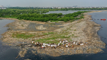 Sampah Menumpuk di Hutan Mangrove Muara Angke