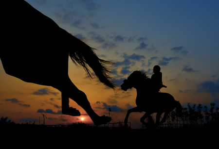 Semangat balap kuda