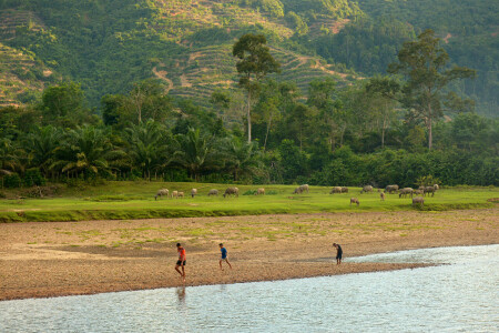 Menjaga Sungai Subayang demi kehidupan dan keseimbangan alam