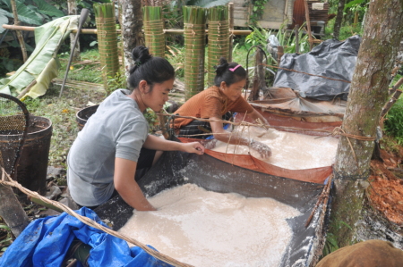 Ibu-ibu Mengola Sagu