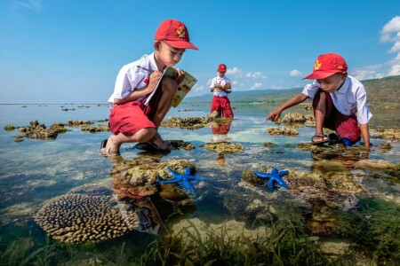 Belajar Ekosistem Laut