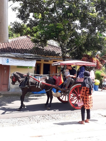 Delman, Transportasi Ramah Lingkungan