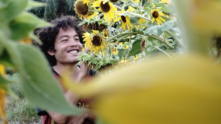 Tersenyum Bersama Rumpun Bunga Matahari