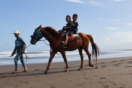 Wisata Kuda Tunggang