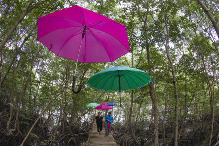 Ekowisata Mangrove