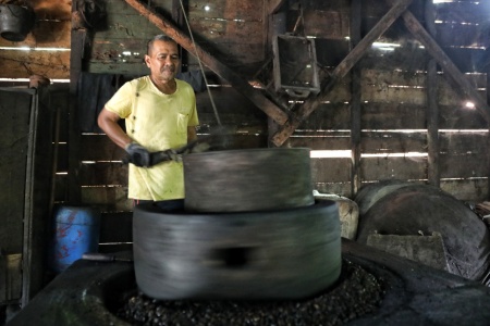 Usaha Pengolahan Kopi Tradisional