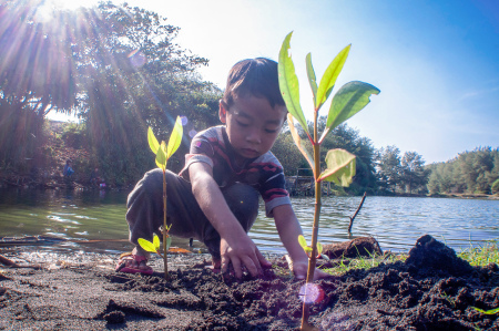 Menanam Mangrove untuk Kelestarian Lingkungan